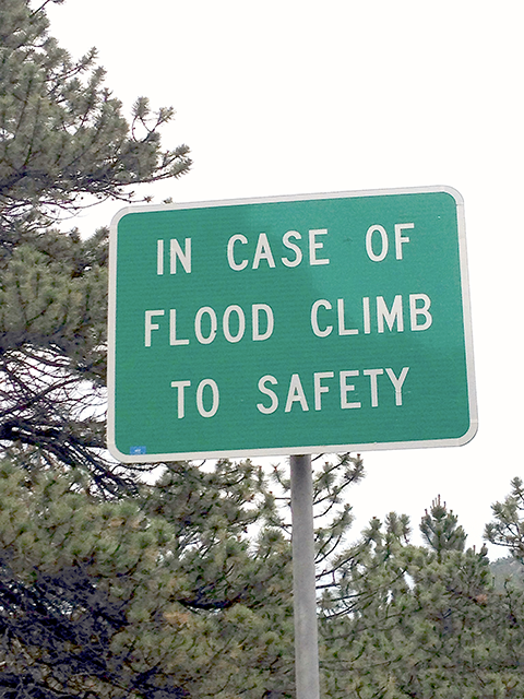 In Case of Flood Climb to Safety